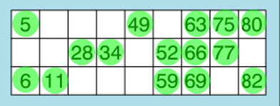 how to play bingo full house