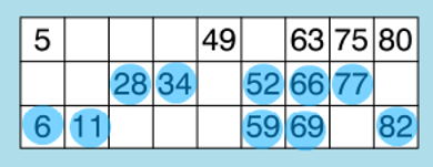 how to play bingo two lines